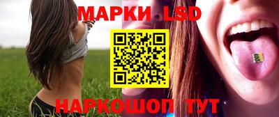 jwh Шебекино
